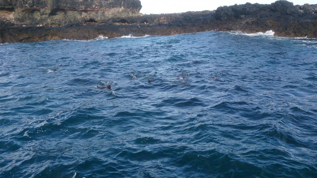 Phillip Island Cottages Коув Экстерьер фото